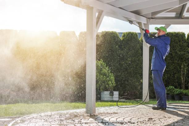 Best Paint Preparation  in Horizon West, FL