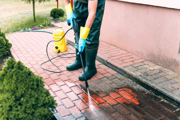 Animal Enclosure Cleaning in Horizon West, FL